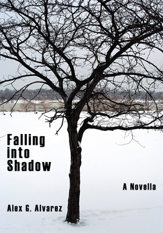 Imagen de portada: Falling into Shadow 9781438947112