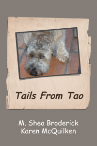 Cover image: Tails from Tao 9781467873741