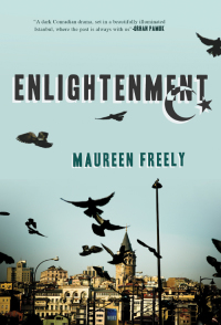 Cover image: Enlightenment 9781590202098