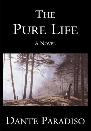 Cover image: The Pure Life 9780738859149
