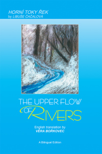 Imagen de portada: The Upper Flow of Rivers 9781441520562