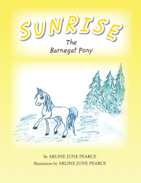 Imagen de portada: Sunrise the Barnegat Pony 9781462886012