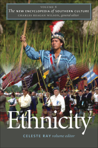 Imagen de portada: The New Encyclopedia of Southern Culture 9780807858233