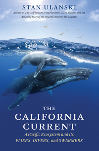 表紙画像: The California Current 1st edition 9781469628240