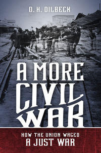 表紙画像: A More Civil War 9781469659053