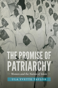 Imagen de portada: The Promise of Patriarchy 9781469633930