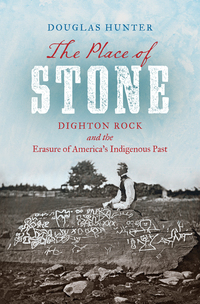 Cover image: The Place of Stone 9781469668734