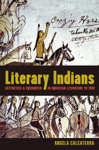 Cover image: Literary Indians 9781469646930