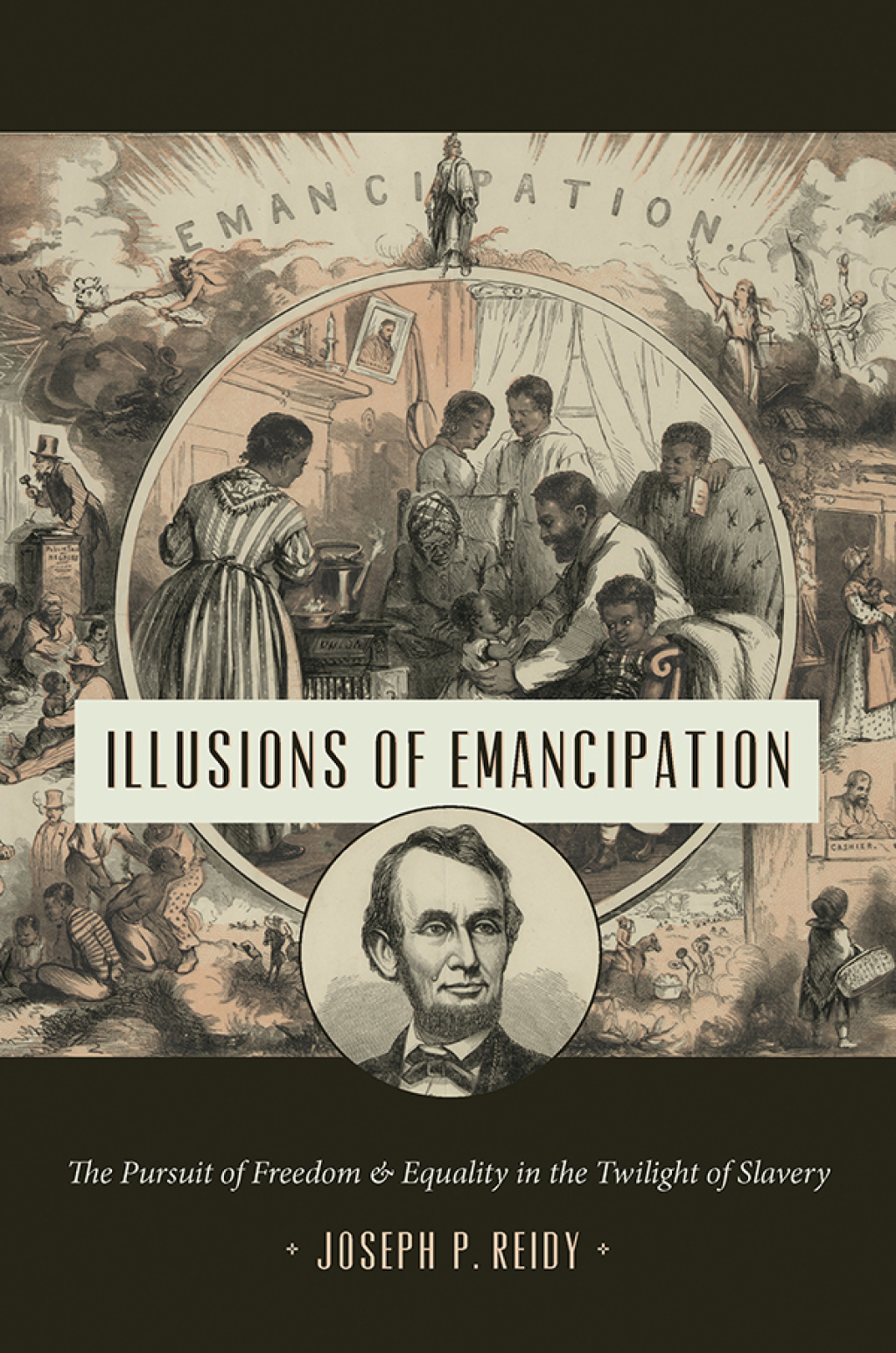 Illusions of Emancipation The Pursuit of Freedom and Equality in the Twilight of Slavery