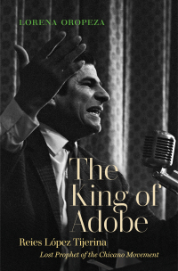 Cover image: The King of Adobe 9781469653297