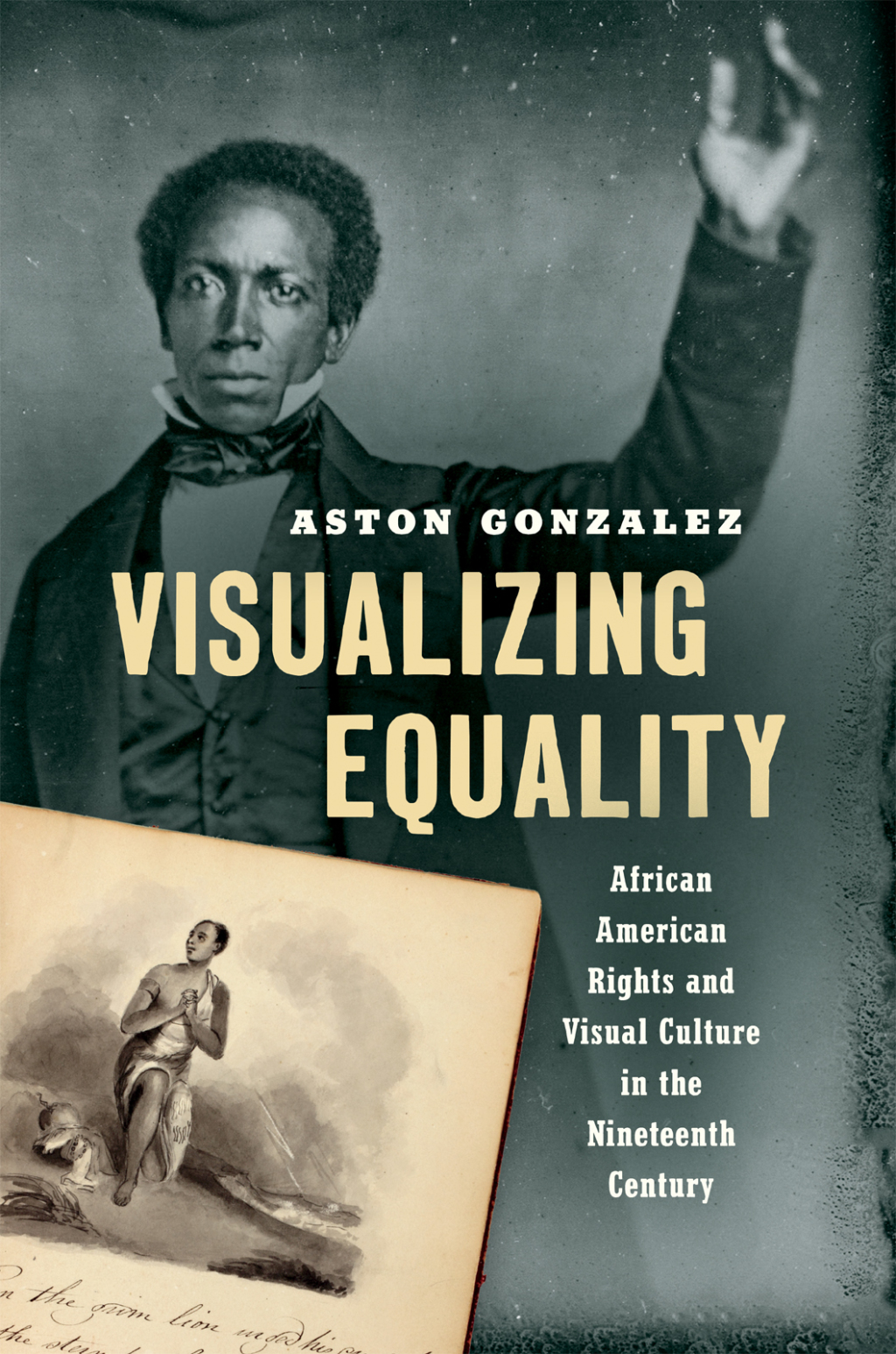 Visualizing Equality (eBook)