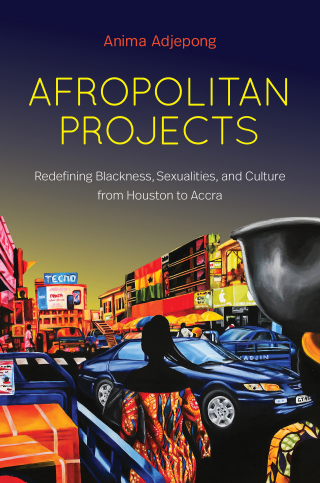 Cover image: Afropolitan Projects 9781469665191