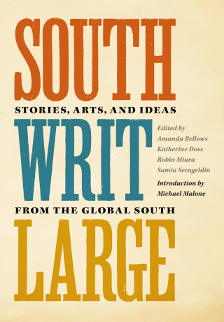 Imagen de portada: South Writ Large 9781469668567