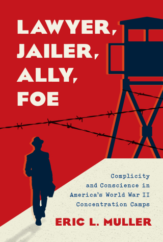 Titelbild: Lawyer, Jailer, Ally, Foe 9781469673974