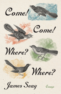 صورة الغلاف: Come! Come! Where? Where? 1st edition 9781469678139