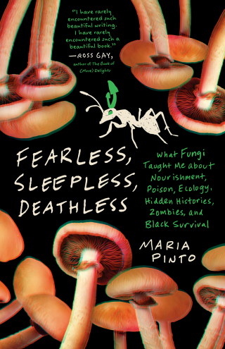 Cover image: Fearless, Sleepless, Deathless 9781469689791