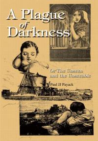Cover image: A Plague of Darkness 9780595289745