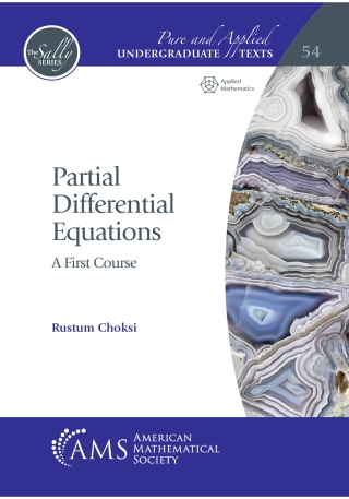 Imagen de portada: Partial Differential Equations 9781470464912
