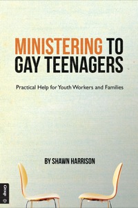 Cover image: Ministering to Gay Teenagers 9781470713584
