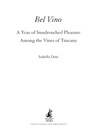 Cover image: Bel Vino 9780743478441