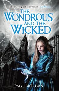 Cover image: The Wondrous and the Wicked 9781471402746