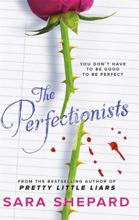 Cover image: The Perfectionists 9781471404344