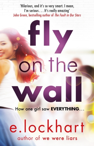 صورة الغلاف: Fly on the Wall 9781471406041