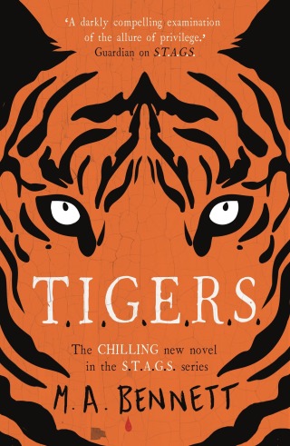 صورة الغلاف: STAGS 4: TIGERS 9781471410871