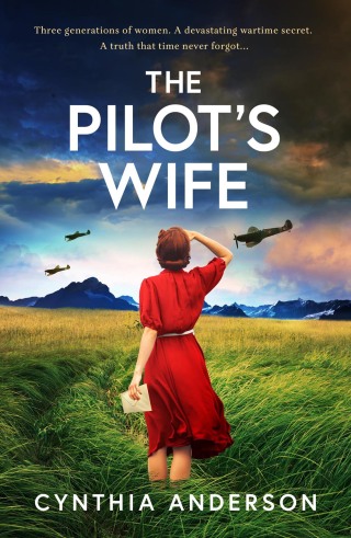 Cover image: The Pilot's Wife 9781471419348
