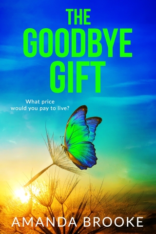Imagen de portada: The Goodbye Gift 9781471421150