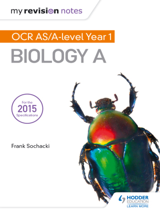 Cover image: My Revision Notes: OCR AS Biology A Second Edition 2nd edition 9781471842078