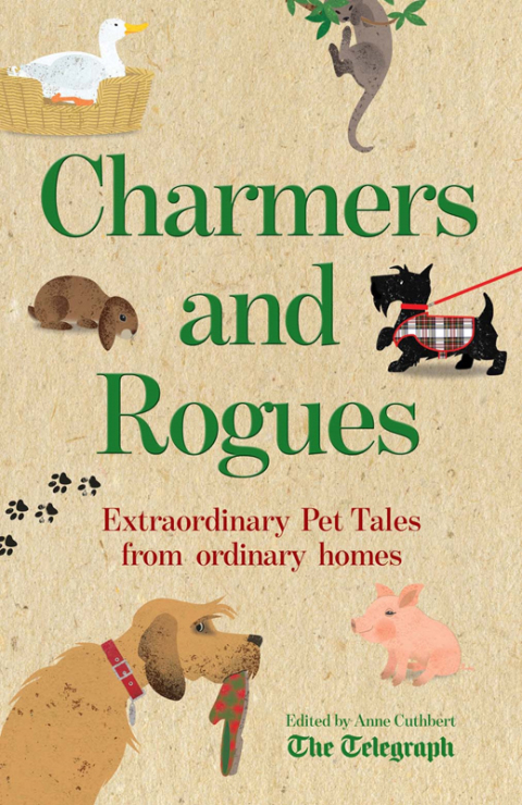 Charmers and Rogues: Pet Tales - FULL INSTANT DOWNLOAD | PDF DOCX EPUB