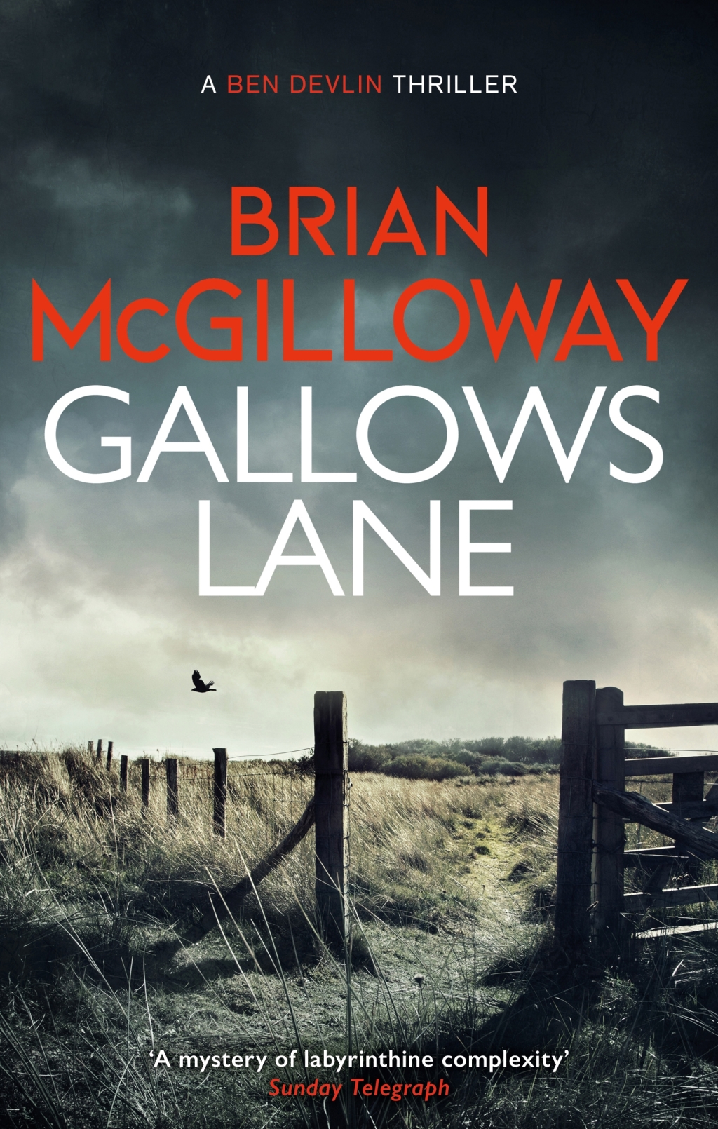 Gallows Lane An ex con and drug violence collide in the borderlands of Ireland…