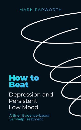 Cover image: How to Beat Depression and Persistent Low Mood 9781472147516