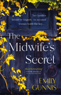 Cover image: The Midwife's Secret 9781472272058