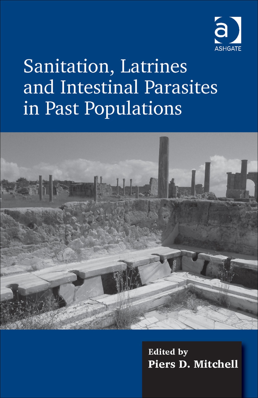 Sanitation, Latrines and Intestinal Parasites in Past Populations
