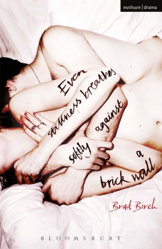 Cover image: Even Stillness Breathes Softly Against a Brick Wall 1st edition 9781472507099