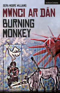 Cover image: Burning Monkey 1st edition 9781472528391