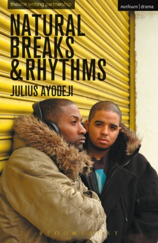 Cover image: Natural Breaks And Rhythms 1st edition 9780413776105