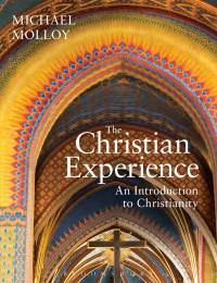 Immagine di copertina: The Christian Experience 1st edition 9781472582829