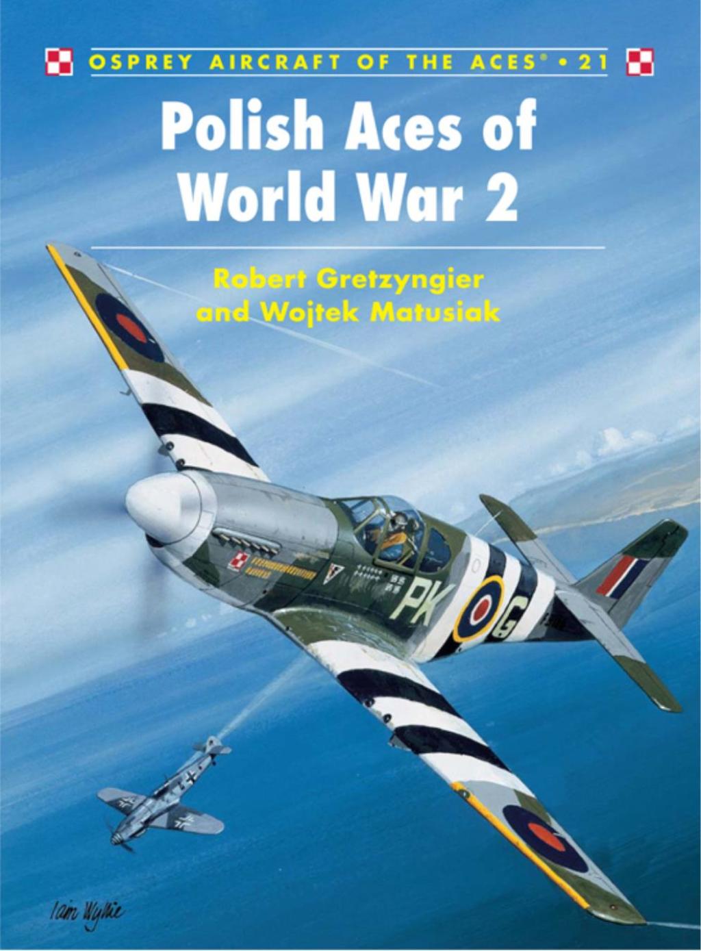Polish Aces of World War 2 1st Edition