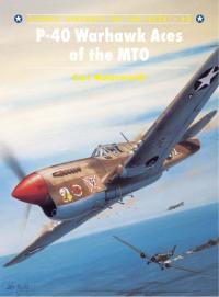 Cover image: P-40 Warhawk Aces of the MTO 1st edition 9781841762883