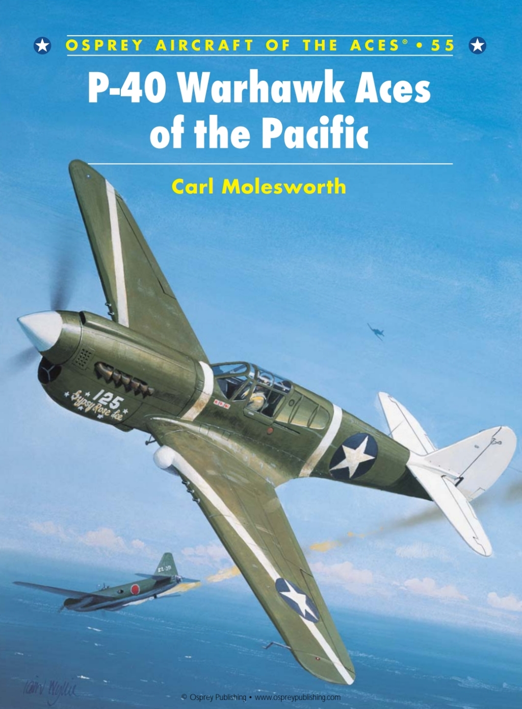 P-40 Warhawk Aces of the Pacific revised edition 1st Edition