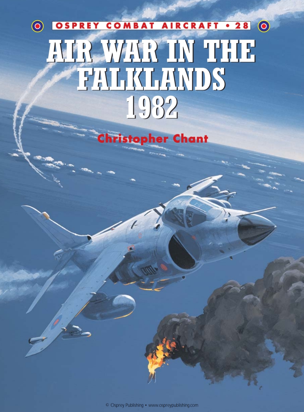 Air War in the Falklands 1982 1st Edition