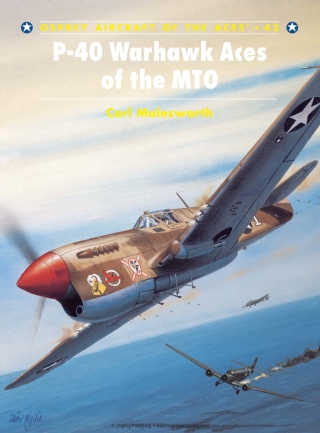 صورة الغلاف: P-40 Warhawk Aces of the MTO 1st edition 9781841762883