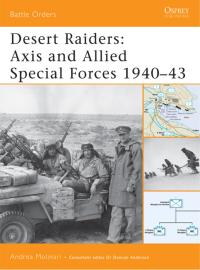 Cover image: Desert Raiders 1st edition 9781846030062