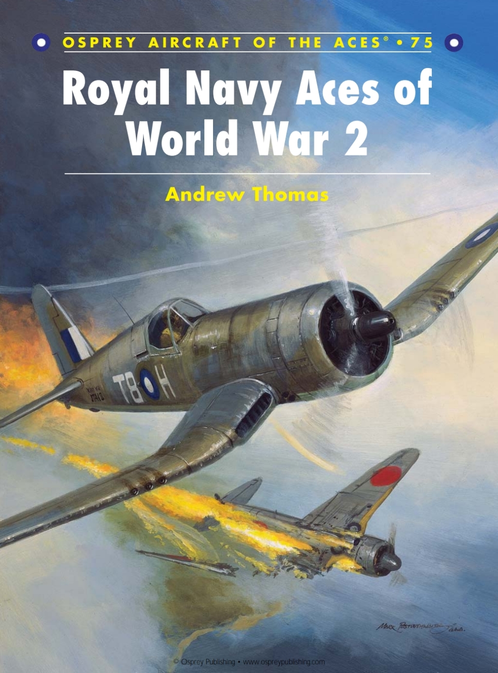 Royal Navy Aces of World War 2 1st Edition