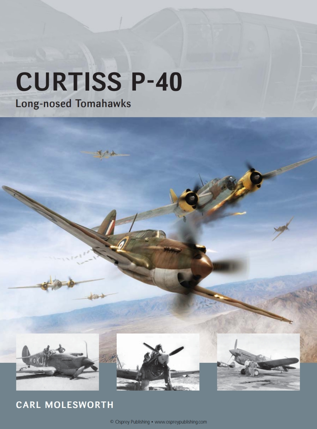 Curtiss P-40 Long-nosed Tomahawks 1st Edition