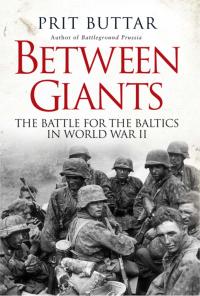 Cover image: Between Giants 1st edition 9781472807496