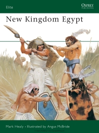 Cover image: New Kingdom Egypt 1st edition 9781855322080